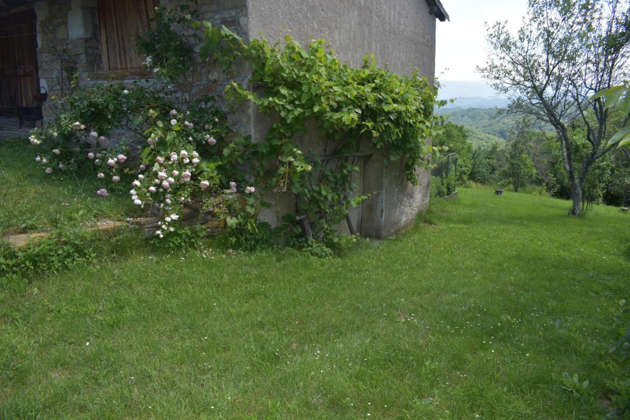 Barbara'S Village House Ilirska Bistrica Exterior foto